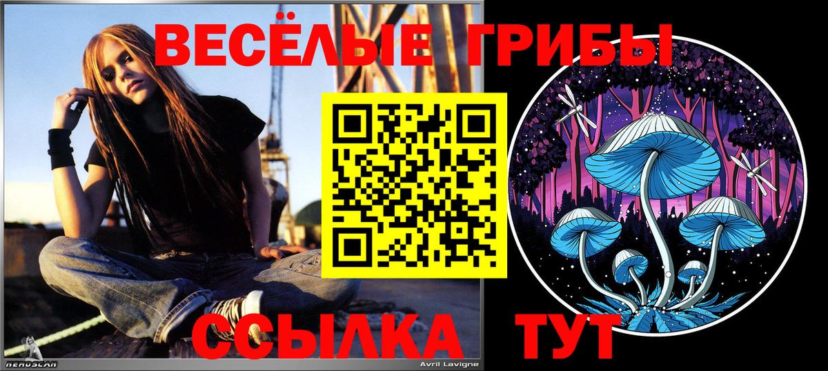 Псилоцибиновые грибы GOLDEN TEACHER Холмск