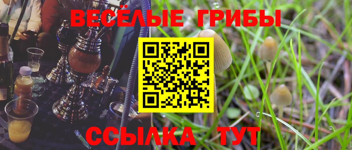 МЕФ Холмск